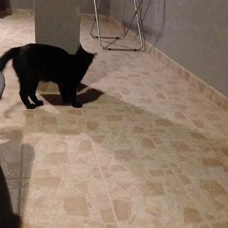 Zeljko Apartman